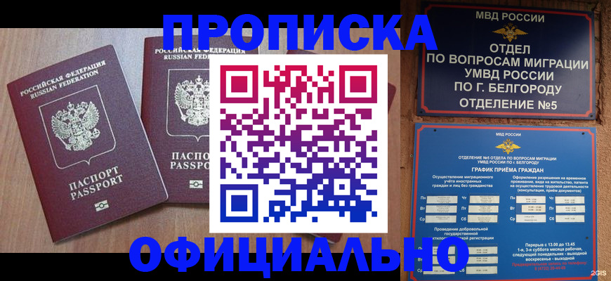 найти адрес прописки в Жукове